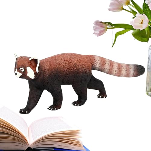 Proypiax Rote Panda kleine Figur, rote Panda -Figur | PVC -Modell Abbildung Miniatur Red Panda | Exquisites sammelbares Miniaturhandwerk, Tischtiere für Wohnzimmer, Fensteranzeige Proypiax Rote Panda kleine Figur, rote Panda -Figur | PVC -Modell Abbildung Miniatur Red Panda | Exquisites sammelbares Miniaturhandwerk, Tischtiere für Wohnzimmer, Fensteranzeige von Proypiax