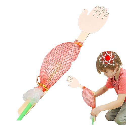 Pruojhw Biologisches Experimentiermodell, Biologisches Wissenschaftsmodell Für Kinder Wissenschaftliches Experimentierset | Wissenschaftliches Laborspielzeug Für Kinder, Pädagogische von Pruojhw