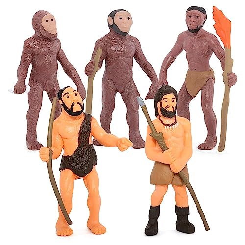 Ptdfjspt Simulation Menschliche Evolutions Modelle Primitive Figurine Wachstums Zyklus Menschliche Action Figuren Lernspielzeug für Kinder von Ptdfjspt