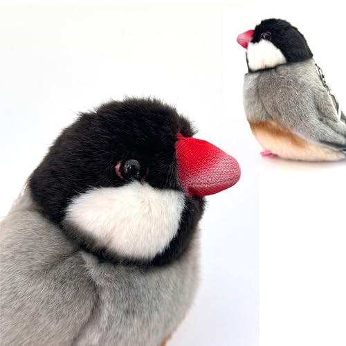 PuffPurrs Ashy-Throated Parrotbill Plüschtier – lebensechtes Vogel-Stofftier, lehrreich und unterhaltsam, perfekt für Sammler und Kinder von PuffPurrs