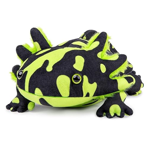 PuffPurrs Groß Axolotl Plüsch - Grüner Axolotl Stofftier, realistisch, 31", niedliche Ambystoma gruselige Amphibien-Plüschtiere, einzigartige Plüschgeschenksammlung für Kinder PuffPurrs Groß Axolotl Plüsch - Grüner Axolotl Stofftier, realistisch, 31", niedliche Ambystoma gruselige Amphibien-Plüschtiere, einzigartige Plüschgeschenksammlung für Kinder von PuffPurrs