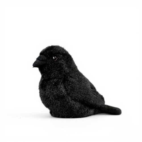 PuffPurrs Lebensechter Aaskrähen-Plüschtier, Realistische glänzende Schwarze Federn, Süßes Pummeliges Krähen-Schlüsselanhänger-Geschenk, 15cm PuffPurrs Lebensechter Aaskrähen-Plüschtier, Realistische glänzende Schwarze Federn, Süßes Pummeliges Krähen-Schlüsselanhänger-Geschenk, 15cm von PuffPurrs