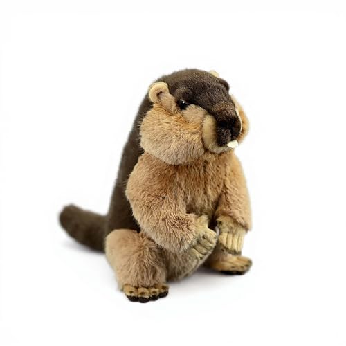 PuffPurrs Lebensechter Murmeltier-Plüsch, Realistischer Pummeliger Körper Teddy, Süßer Alpenmurmeltier Kissen-Geschenk, 25 cm PuffPurrs Lebensechter Murmeltier-Plüsch, Realistischer Pummeliger Körper Teddy, Süßer Alpenmurmeltier Kissen-Geschenk, 25 cm von PuffPurrs