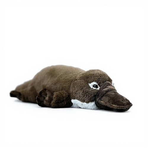 PuffPurrs Lebensechter Schnabeltier-Plüsch, Realistischer Entenschnabel-Breite Schnauze Teddy, Süßer Schnabeltier Kissen-Geschenk, 43 cm PuffPurrs Lebensechter Schnabeltier-Plüsch, Realistischer Entenschnabel-Breite Schnauze Teddy, Süßer Schnabeltier Kissen-Geschenk, 43 cm von PuffPurrs
