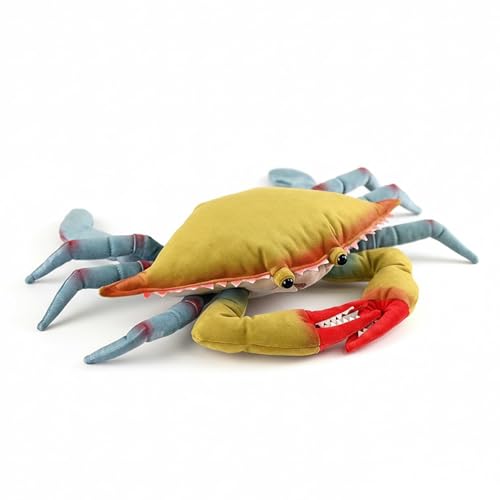 PuffPurrs Schwimmkrabbe Plüschtier - Lebensecht 43cm Portunidae Meereskrabbe Spielzeug, Realistisches Krustentier Geschenk PuffPurrs Schwimmkrabbe Plüschtier - Lebensecht 43cm Portunidae Meereskrabbe Spielzeug, Realistisches Krustentier Geschenk von PuffPurrs