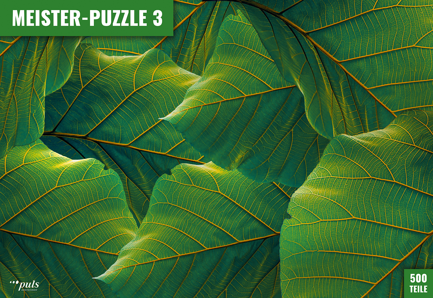 Puls Entertainment MEISTER-PUZZLE 3: Blätter 500 Teile Puzzle Puls-Entertainment-Puzzle-11144 Puls Entertainment MEISTER-PUZZLE 3: Blätter 500 Teile Puzzle Puls-Entertainment-Puzzle-11144 von Puls Entertainment