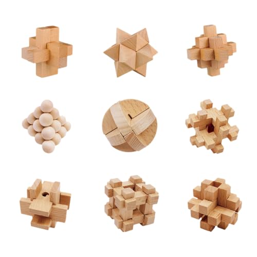 PureFun 9Teile 3D Brainteaser Metall Knobelspiele Kinder, 2023 IQ Knobelspiele Metall Puzzle/Holz Puzzle Set von PureFun