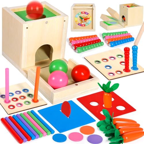 Purpledi Montessori Spielzeug ab 1 2 3 Jahr, 6 IN 1 Baby Motorik Spielzeug Jungen und Mädchen, Holzspielzeug Sortierspiel Lernspielzeug für für Kinder als Weihnacht Geburtztag New Jahr Geschenk von Purpledi