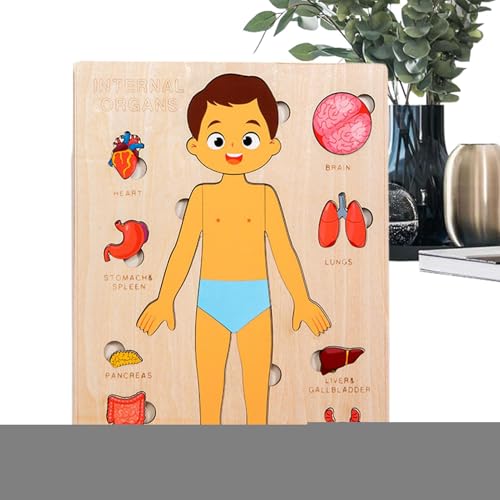 Puwaiio Anatomie Für Kinder - Pädagogisches Holz Puzzle Vom Menschlichen Körper | Wissenschaftliches Spielzeug Für Kleinkinder Und Kinder Mädchen Kindergarten Schule Unterricht Puwaiio Anatomie Für Kinder - Pädagogisches Holz Puzzle Vom Menschlichen Körper | Wissenschaftliches Spielzeug Für Kleinkinder Und Kinder Mädchen Kindergarten Schule Unterricht von Puwaiio