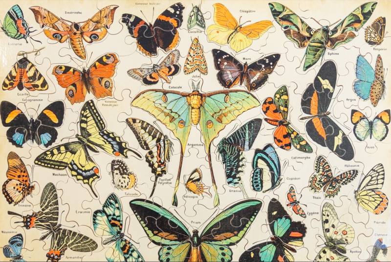 Puzzle Michèle Wilson Handgeschnittenes Holzpuzzle - Butterfly 100 Teile Puzzle Puzzle-Michele-Wilson-K1227-100 von Puzzle Michèle Wilson