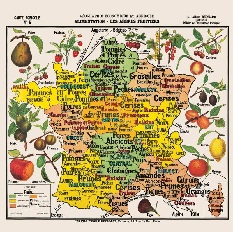 Puzzle Michèle Wilson Handgeschnittenes Holzpuzzle - Landkarte Von Frankreich Früchte 100 Teile Puzzle Puzzle-Michele-Wilson-K111-100 von Puzzle Michèle Wilson