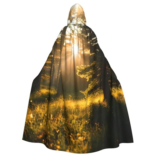PYJWYFMY Kapuzenumhang mit Morgensonnenlicht in der Wildnis, Unisex, Erwachsene, Samt-Umhang für Halloween, Robe, Weihnachten, Cosplay-Kostüme PYJWYFMY Kapuzenumhang mit Morgensonnenlicht in der Wildnis, Unisex, Erwachsene, Samt-Umhang für Halloween, Robe, Weihnachten, Cosplay-Kostüme von Pyjwyfmy