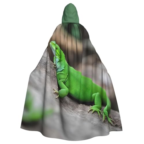 PYJWYFMY Kapuzenumhang mit grüner Eidechse, Unisex, für Erwachsene, Samt-Umhang für Halloween, Robe, Weihnachten, Cosplay-Kostüme PYJWYFMY Kapuzenumhang mit grüner Eidechse, Unisex, für Erwachsene, Samt-Umhang für Halloween, Robe, Weihnachten, Cosplay-Kostüme von Pyjwyfmy