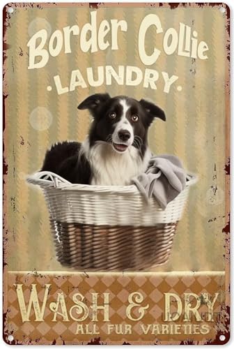 1000 Teile Puzzle für Erwachsene und Familien - Border Collie Wäsche Waschen & Trocknen Alle Pelzsorten Holzpuzzle - Familienspaß & Freizeit Anfänger Puzzle Spielzeug 1000 Teile Puzzle für Erwachsene und Familien - Border Collie Wäsche Waschen & Trocknen Alle Pelzsorten Holzpuzzle - Familienspaß & Freizeit Anfänger Puzzle Spielzeug von Pzecaru