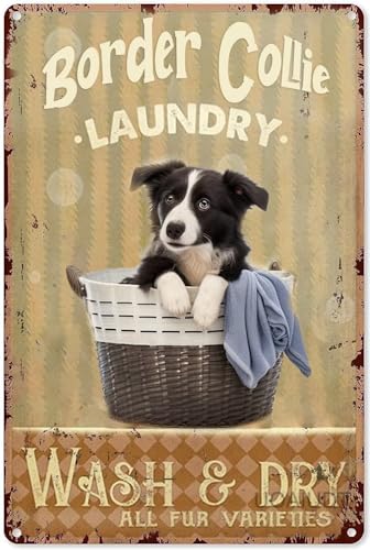 Border Collie Puzzles 500 Teile für Erwachsene - Wäsche waschen & trocknen alle Pelzsorten Holzpuzzles für Erwachsene und Familie Heimdekoration Familienunterhaltung Freizeit Spaß Interaktiv Border Collie Puzzles 500 Teile für Erwachsene - Wäsche waschen & trocknen alle Pelzsorten Holzpuzzles für Erwachsene und Familie Heimdekoration Familienunterhaltung Freizeit Spaß Interaktiv von Pzecaru