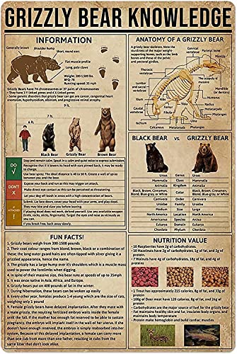 Grizzly Bear Knowledge 1000 Teile Puzzle für Erwachsene und Familien - Holzpuzzle - Familienspaß & Freizeit Anfänger Jigsaw Puzzle Spielzeug für Erwachsene Stressabbau Grizzly Bear Knowledge 1000 Teile Puzzle für Erwachsene und Familien - Holzpuzzle - Familienspaß & Freizeit Anfänger Jigsaw Puzzle Spielzeug für Erwachsene Stressabbau von Pzecaru