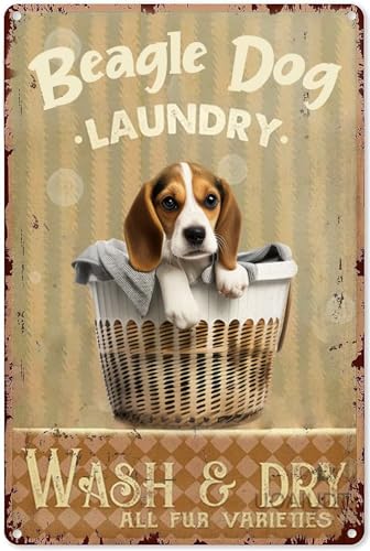 Puzzle 500 Teile für Erwachsene - Beagle Hund Wäsche Waschen & Trocknen Alle Pelzsorten Waschküche Holzpuzzle Lustige Spiele Stressabbau Spielzeug für Wohnkultur Wohnzimmer Dekor Puzzle 500 Teile für Erwachsene - Beagle Hund Wäsche Waschen & Trocknen Alle Pelzsorten Waschküche Holzpuzzle Lustige Spiele Stressabbau Spielzeug für Wohnkultur Wohnzimmer Dekor von Pzecaru