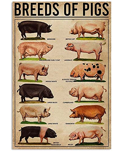 Rassen von Schweinen, 1000 Teile Holzpuzzle für Erwachsene Familie Ältere Puzzlespiel für Familie Kunst Dekorationen Lustiges 1000 Stück Puzzle Spielzeug Geschenk für Freund Frau Mama Rassen von Schweinen, 1000 Teile Holzpuzzle für Erwachsene Familie Ältere Puzzlespiel für Familie Kunst Dekorationen Lustiges 1000 Stück Puzzle Spielzeug Geschenk für Freund Frau Mama von Pzecaru