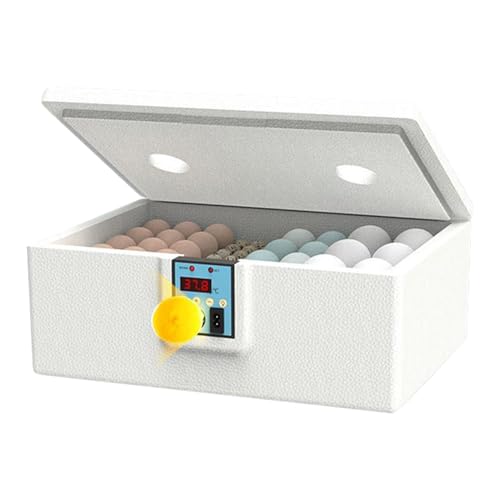 Brutkästen für Bruteier, Entenei-Brutkasten, intelligente ABS-Temperaturkontrolle, Inkubationsbox für Geflügelzucht, ideal für Labor, wissenschaftliches Klassenzimmer, Zuhause und Schule, 43,5 x 32 x Brutkästen für Bruteier, Entenei-Brutkasten, intelligente ABS-Temperaturkontrolle, Inkubationsbox für Geflügelzucht, ideal für Labor, wissenschaftliches Klassenzimmer, Zuhause und Schule, 43,5 x 32 x von Pzuryhg