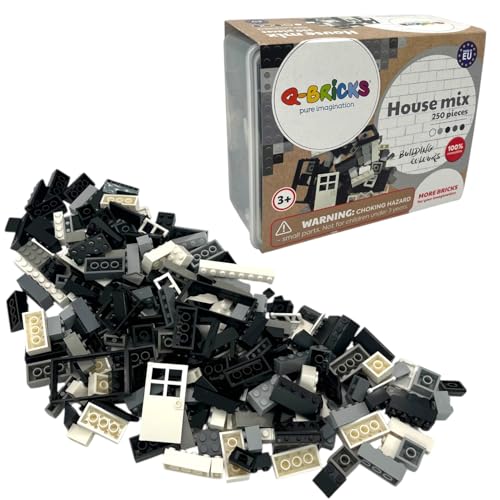 Bausteine Box Hausmischung- Schwarz-Weisser Farben | 250 Stk. Bausteine in 17 Formen | 6 Farben: Verkehrsschwarz, Staubgrau, Steingrau, Fenstergrau, Reinweiß | Verpackt in einer praktischen Box von Q-Bricks