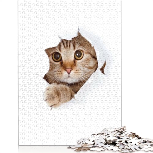 1000 Teile Katzen-Papier-Puzzle, lustige Puzzles, Schwierigkeitsgrad: Puzzle, Lernspiele, Spielzeug, 1000 Teile (75 x 50 cm) von QASEYIPV