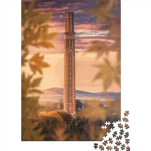 Coxs Stack Dundee kreatives quadratisches Puzzle, 1000 Teile für Erwachsene und Holzpuzzle, intellektuelles Spiel, 1000 Teile (38 x 26 cm) von QASEYIPV