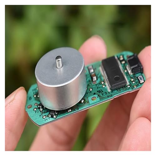 QASVOU 10/100 stücke Micro Mini Bürstenlosen Motor DC 5V 6V BLDC Motor mit Hall Drive Chip Seltene Erde Mittel Starke Magnetische(100PCS,Type B) von QASVOU