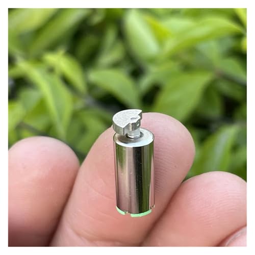QASVOU 10/50/100 STÜCKE DC 1,5 V-5 V 3,7 V 612 DC Micro Vibrationsmotor Kernloser Vibrator Vibration for Alarmmelder Elektronische Massage Produkt for Erwachsene 3 V(100pcs) von QASVOU