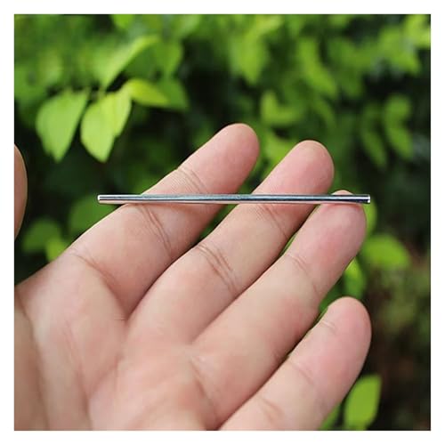 QASVOU 10/50/100 STÜCKE Eisenwelle Mini 2 MM Eisenwelle Spielzeugautoachse Antriebswellenhülse 60 80 100 130 mm Länge Spielzeugautoboot(100PCS,2) von QASVOU
