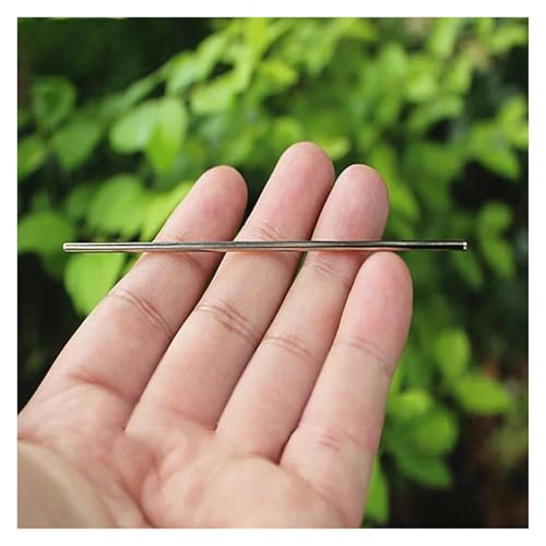 QASVOU 10/50/100 STÜCKE Eisenwelle Mini 2 MM Eisenwelle Spielzeugautoachse Antriebswellenhülse 60 80 100 130 mm Länge Spielzeugautoboot(100PCS,3) von QASVOU