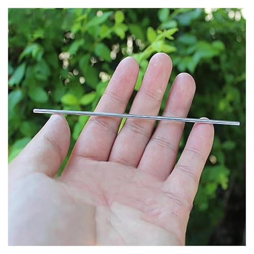 QASVOU 10/50/100 STÜCKE Eisenwelle Mini 2 MM Eisenwelle Spielzeugautoachse Antriebswellenhülse 60 80 100 130 mm Länge Spielzeugautoboot(100PCS,4) von QASVOU