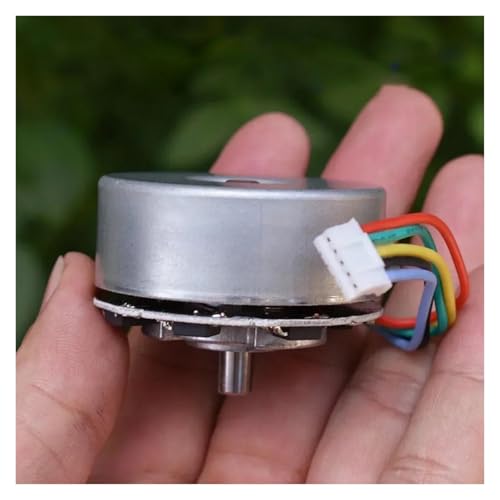 QASVOU 2 Stück geräuscharmer bürstenloser Mikromotor mit Antriebsplatine, DC 12 V 24 V, 4750 U/min, großes Drehmoment, DCBL, unterstützt PWM-Geschwindigkeitsregelung, Frequenz 3000 Hz(60pcs) von QASVOU