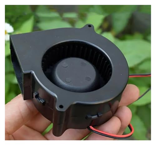 QASVOU 3/5/10 STÜCKE 3 W Mini-bürstenloser Lüfter Großes Luftvolumen 7530 Lüfter DC 12 V Winziger Mikrolüfter Schneckengebläse for Grill-Grillherdgebläse(3PCS,DC12V Silent Version) von QASVOU