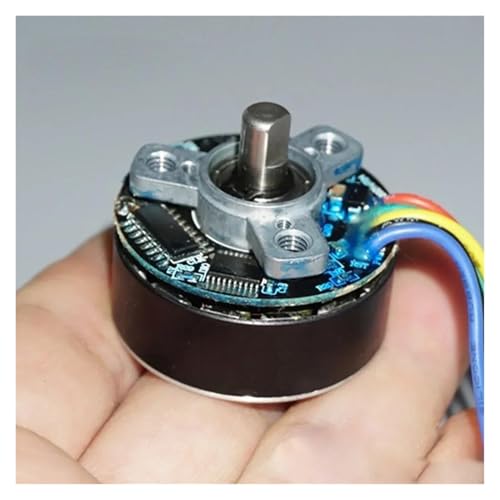 QASVOU 3/5/10 STÜCKE Mikrobürstenloser Motor mit Antriebsplatine DC 6 V 7,4 V 9 V 12 V 3200 U/min 45 W Geräuscharm Großes Drehmoment Unterstützt PWM-Geschwindigkeitsregelung(10pcs,Tpye A Motor) von QASVOU