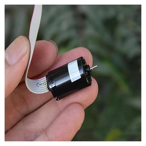 QASVOU 3/5/10 STÜCKE Mini 1623 16 mm * 23 mm bürstenloser Motor Micro BLDC NdFeB starker magnetischer Hochgeschwindigkeits-Stummmotor Dreiphasiger Achtdrahtmotor mit Hall(10PCS) von QASVOU