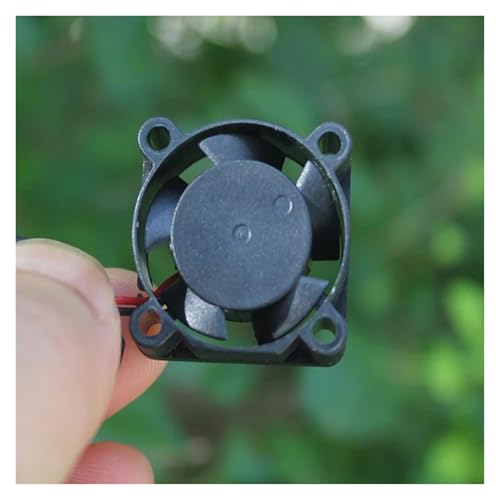 QASVOU 3/5/10 STÜCKE Ultra-Miniatur bürstenloser Lüfter, elektrisch, DC 3 V, 6 V, stumm, hohes Luftvolumen, 2510 Mini-Mikro-Kühllüfter, maximaler Luftstrom(10PCS) von QASVOU