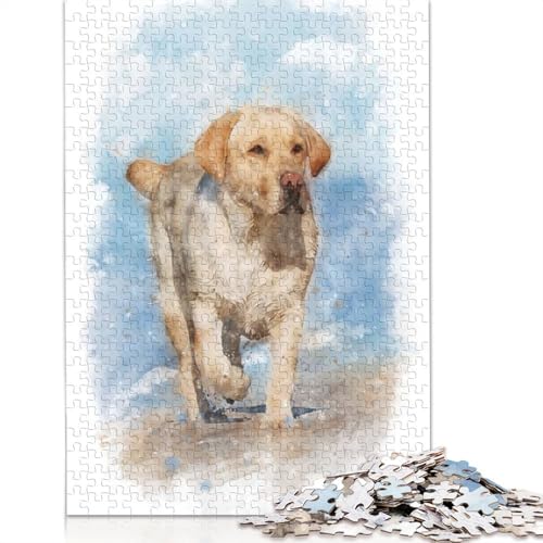 1000-teiliges Puzzle „Lab on The Beach“ für Erwachsene Teenager, Papierpuzzles, nachhaltiges Puzzle für Erwachsene | Spiele 1000 Teile (75 x 50 cm) von QBIREX