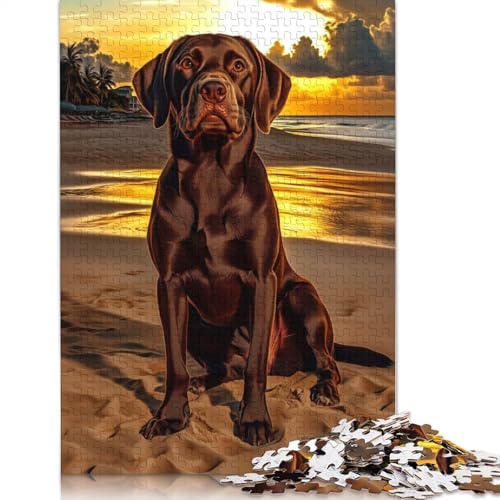 1000-teiliges Puzzle „Schokoladenbrauner Labrador bei Sonnenuntergang“ für Erwachsene, Papierpuzzle, Lernspiel für Erwachsene Teenager, 1000 Teile (38 x 26 cm) von QBIREX