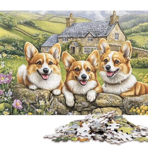 Corgi Puzzle Relax Challenge Spielzeug Premium-Puzzle aus Karton für Erwachsene und Kinder, 70 x 50 cm, 1000 Teile von QBIREX