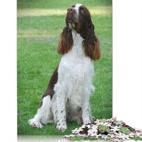 English Springer Spaniel Puzzle 1000 Teile Schwer Puzzle Spielzeug Lernspiel Impossible Herausforderungsspielzeug Für Erwachsene Und Kinder Ab 14 Jahren 1000pcs (40x28cm) von QBIREX