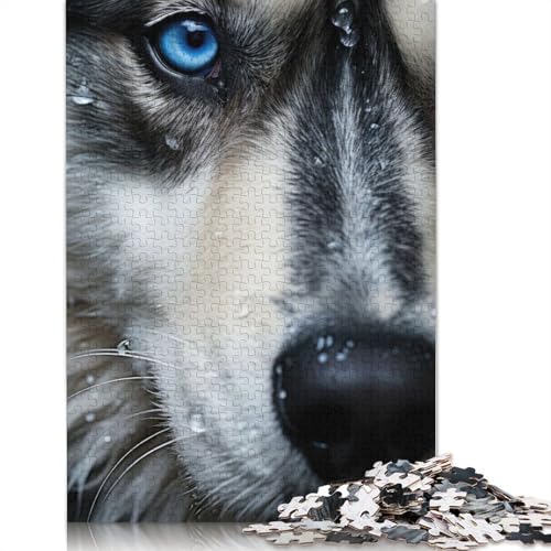 Husky Eyes Puzzles 1000 Teile Schwer Puzzle Spielzeug Lernspiel Impossible Herausforderungsspielzeug Für Erwachsene Kinder 1000pcs (40x28cm) von QBIREX