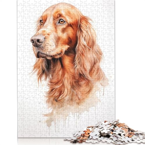 Irish Setter Puzzle DIY Spiel Papier Rechteckiges Puzzle für Jungen oder Mädchen Geburtstagsgeschenk 1000 Teile (26x38cm) von QBIREX