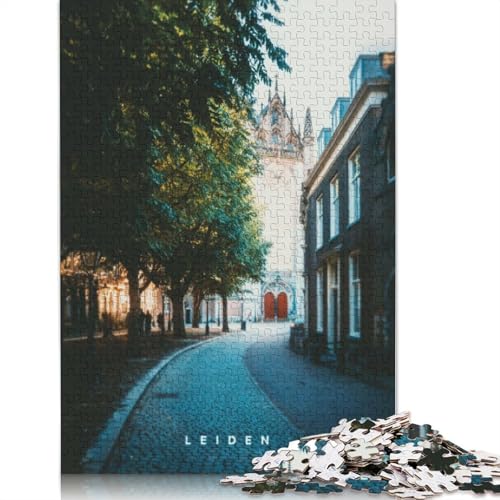 Leiden Puzzle Relax Challenge Toy Premium-Puzzle aus Karton für Erwachsene und Kinder, 1000 Teile (38 x 26 cm) von QBIREX