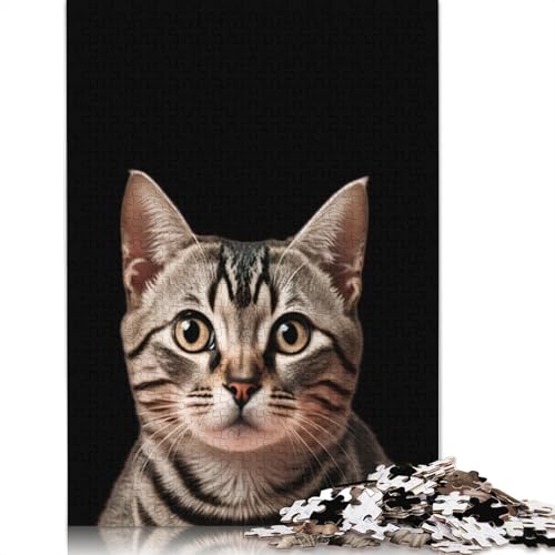 Niedliches Katzen-Puzzle, rechteckig, aus Pappe, als Geschenk für Kinder ab 12 Jahren, 520 Teile (52 x 38 cm) von QBIREX