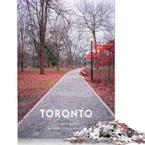 Puzzle für Erwachsene, 1000 Teile, Toronto, 5 Puzzles, Lernspielzeug, Spiele, Familiendekoration (75 x 50 cm) von QBIREX
