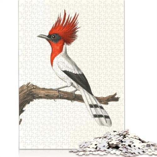Red-Crested Bird Illustration Puzzles 1000 Teile Schwer Puzzle Spielzeug Lernspiel Impossible Herausforderung Spielzeug Für Erwachsene Und Kinder Ab 14 Jahren 1000pcs (40x28cm) von QBIREX