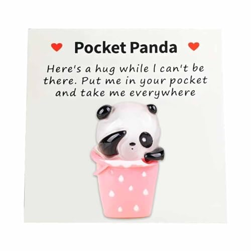 QEOTOH Pocket Hug Cute Panda Hug Love Token Gift Souvenir Hot Heart Friendship Love,Wedding Party Easter Family Decor von QEOTOH