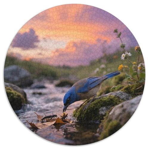 Blauflügelter Warbler1000 Stück Rundes Puzzle Leichte Schwierigkeit Für Kinder Und Jugendliche FähigkeitenentwicklungVogel Künstlerische Kreation Perfekt Für Klasse 1000pcs (67.5x67.5cm) von QEVAWPAE