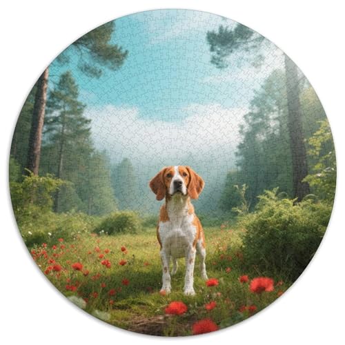 Bretagne1000-teiliges Rundpuzzle MitHaustierhund, EIN Anspruchsvolles Denkspiel Für Erwachsene, Ideal Für Ruhige Wochenenden 1000pcs (67.5x67.5cm) von QEVAWPAE