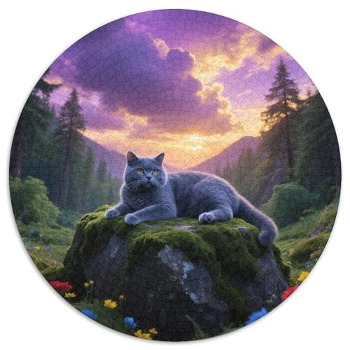 Britische KurzhaareRunde Puzzlefreude MitHaustier Katze, 1000 Teile Mit Mittlerem Schwierigkeitsgrad, Ideal Für Entspannung 1000pcs (67.5x67.5cm) von QEVAWPAE
